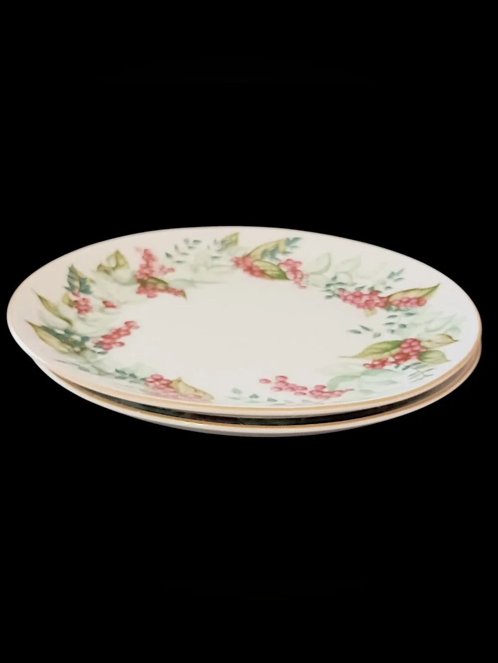 2 Restoration Hardware Festive Berry Plates Salad Side Christmas Botanical RH